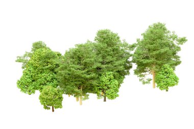 Beyaz arka planda yeşil ağaçlar. 3D görüntüleme. Doğa