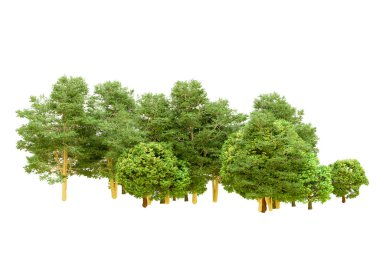 Beyaz arka planda yeşil ağaçlar. 3D görüntüleme. Doğa