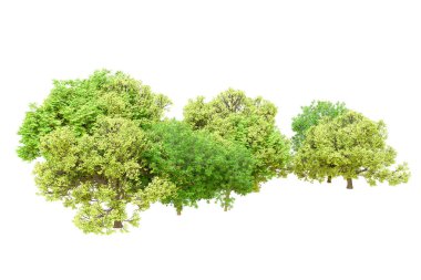 Beyaz arka planda yeşil ağaçlar. 3D görüntüleme. Doğa