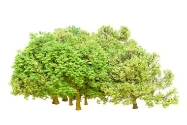 Beyaz arka planda yeşil ağaçlar. 3D görüntüleme. Doğa