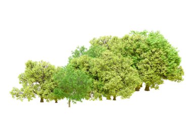 Beyaz arka planda yeşil ağaçlar. 3D görüntüleme. Doğa