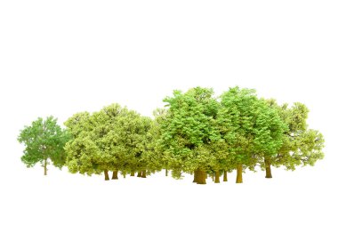 Beyaz arka planda yeşil ağaçlar. 3D görüntüleme. Doğa