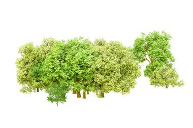 Beyaz arka planda yeşil ağaçlar. 3D görüntüleme. Doğa