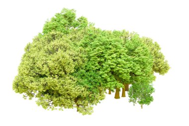 Beyaz arka planda yeşil ağaçlar. 3D görüntüleme. Doğa