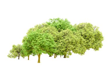 Beyaz arka planda yeşil ağaçlar. 3D görüntüleme. Doğa