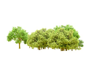 Beyaz arka planda yeşil ağaçlar. 3D görüntüleme. Doğa