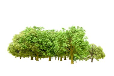 Beyaz arka planda yeşil ağaçlar. 3D görüntüleme. Doğa