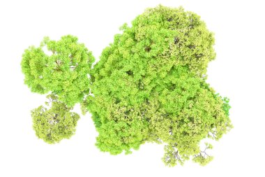 Beyaz arka planda yeşil ağaçlar. 3D görüntüleme. Doğa
