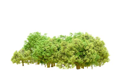 Beyaz arka planda yeşil ağaçlar. 3D görüntüleme. Doğa