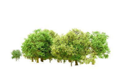 Beyaz arka planda yeşil ağaçlar. 3D görüntüleme. Doğa