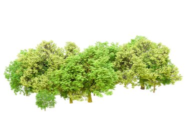 Beyaz arka planda yeşil ağaçlar. 3D görüntüleme. Doğa