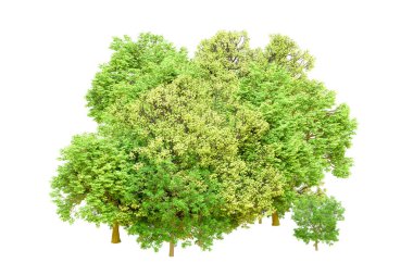 Beyaz arka planda yeşil ağaçlar. 3D görüntüleme. Doğa