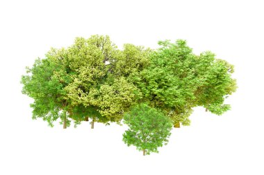 Beyaz arka planda yeşil ağaçlar. 3D görüntüleme. Doğa