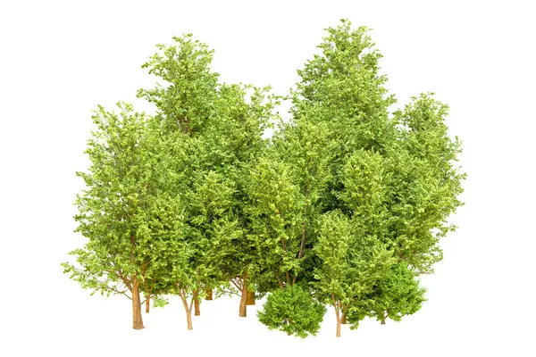 Beyaz arka planda yeşil ağaçlar. 3D görüntüleme. Doğa