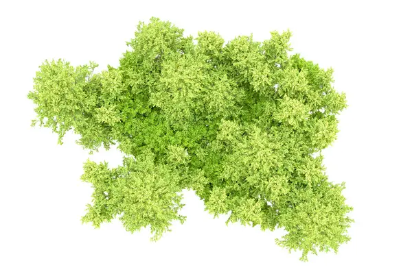 Beyaz arka planda yeşil ağaçlar. 3D görüntüleme. Doğa