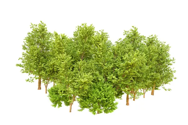 Beyaz arka planda yeşil ağaçlar. 3D görüntüleme. Doğa