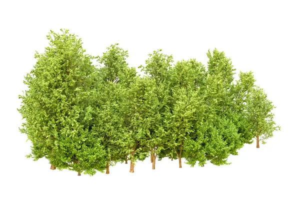 Beyaz arka planda yeşil ağaçlar. 3D görüntüleme. Doğa