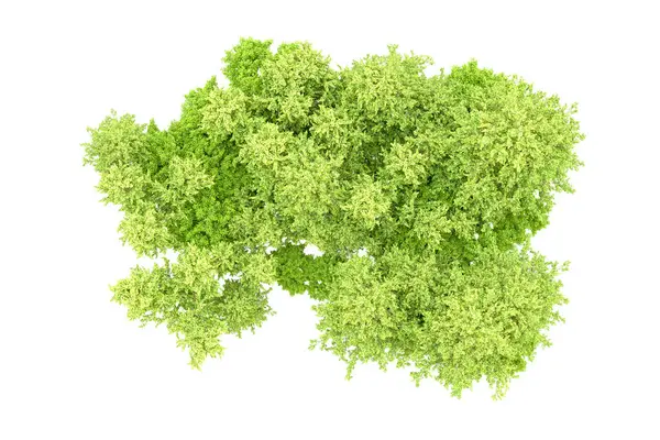 Beyaz arka planda yeşil ağaçlar. 3D görüntüleme. Doğa