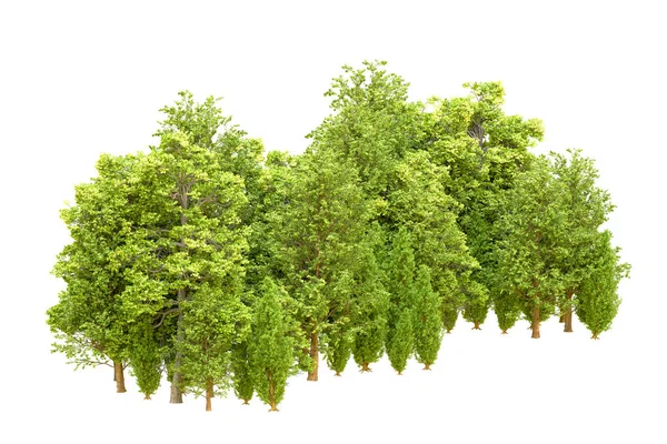 Beyaz arka planda yeşil ağaçlar. 3D görüntüleme. Doğa