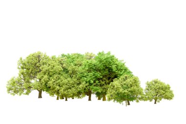 Beyaz arka planda yeşil ağaçlar. 3D görüntüleme. Doğa