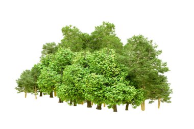 Beyaz arka planda yeşil ağaçlar. 3D görüntüleme. Doğa