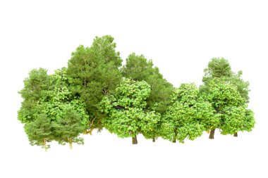 Beyaz arka planda yeşil ağaçlar. 3D görüntüleme. Doğa