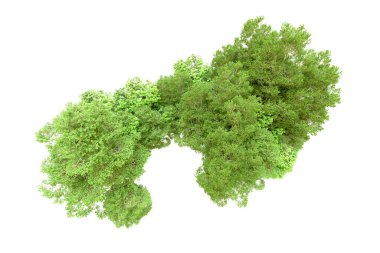 Beyaz arka planda yeşil ağaçlar. 3D görüntüleme. Doğa