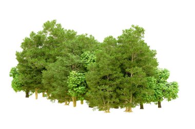 Beyaz arka planda yeşil ağaçlar. 3D görüntüleme. Doğa