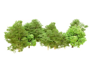Beyaz arka planda yeşil ağaçlar. 3D görüntüleme. Doğa