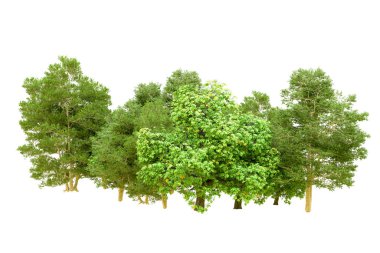 Beyaz arka planda yeşil ağaçlar. 3D görüntüleme. Doğa