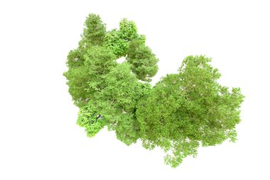 Beyaz arka planda yeşil ağaçlar. 3D görüntüleme. Doğa