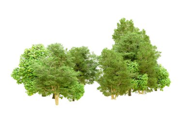 Beyaz arka planda yeşil ağaçlar. 3D görüntüleme. Doğa