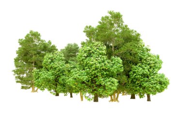 Beyaz arka planda yeşil ağaçlar. 3D görüntüleme. Doğa