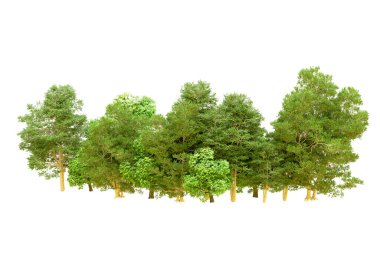 Beyaz arka planda yeşil ağaçlar. 3D görüntüleme. Doğa