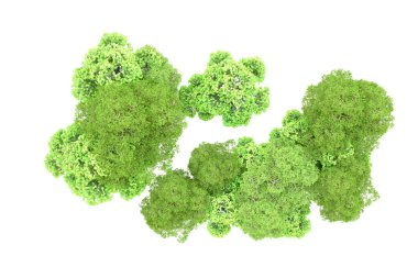 Beyaz arka planda yeşil ağaçlar. 3D görüntüleme. Doğa