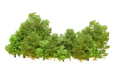 Beyaz arka planda yeşil ağaçlar. 3D görüntüleme. Doğa