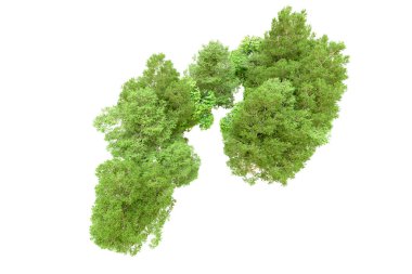 Beyaz arka planda yeşil ağaçlar. 3D görüntüleme. Doğa