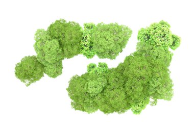 Beyaz arka planda yeşil ağaçlar. 3D görüntüleme. Doğa