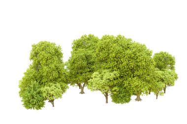 Beyaz arka planda yeşil ağaçlar. 3D görüntüleme. Doğa