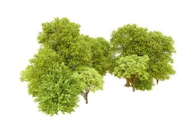 Beyaz arka planda yeşil ağaçlar. 3D görüntüleme. Doğa