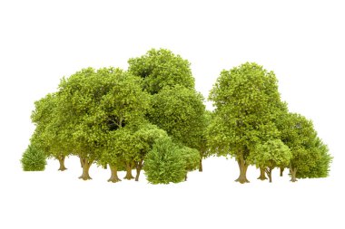 Beyaz arka planda yeşil ağaçlar. 3D görüntüleme. Doğa