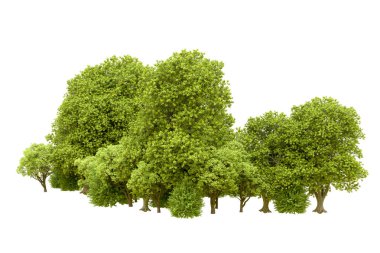 Beyaz arka planda yeşil ağaçlar. 3D görüntüleme. Doğa