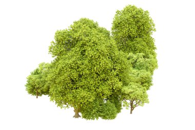 Beyaz arka planda yeşil ağaçlar. 3D görüntüleme. Doğa