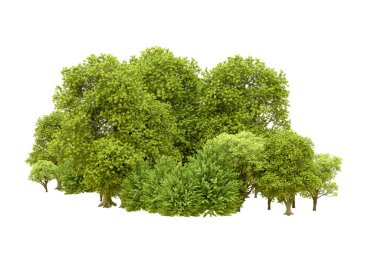 Beyaz arka planda yeşil ağaçlar. 3D görüntüleme. Doğa