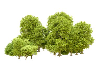 Beyaz arka planda yeşil ağaçlar. 3D görüntüleme. Doğa