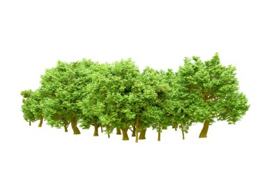 Beyaz arka planda yeşil ağaçlar. 3D görüntüleme. Doğa