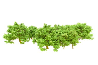 Beyaz arka planda yeşil ağaçlar. 3D görüntüleme. Doğa