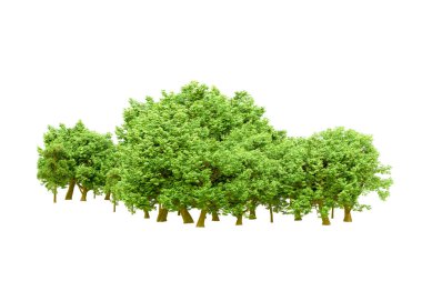 Beyaz arka planda yeşil ağaçlar. 3D görüntüleme. Doğa