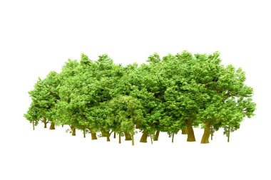 Beyaz arka planda yeşil ağaçlar. 3D görüntüleme. Doğa