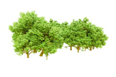 Beyaz arka planda yeşil ağaçlar. 3D görüntüleme. Doğa